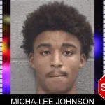 Micha-Lee Johnson mugshot