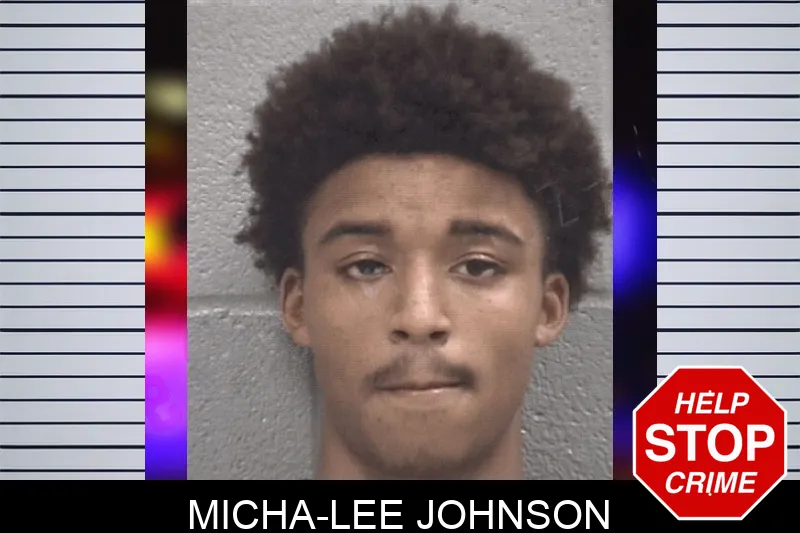 Micha-Lee Johnson mugshot