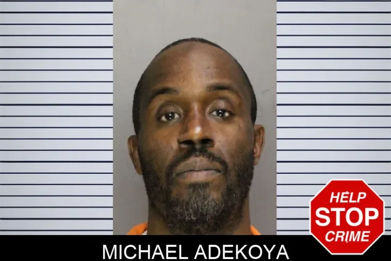 Michael Adekoya mugshot – Cobb County , Georgia Michael Adekoya