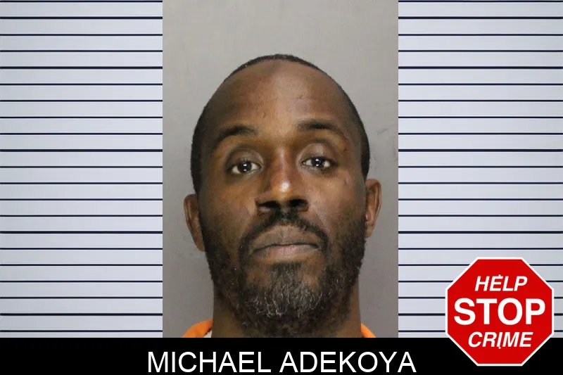 Michael Adekoya mugshot
