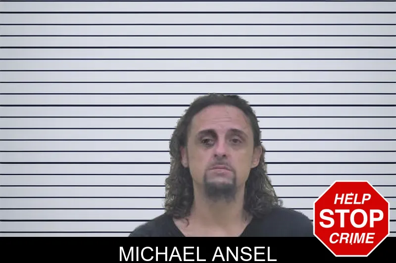 Michael Ansel mugshot – Coffee County , Georgia Michael Ansel mugshot