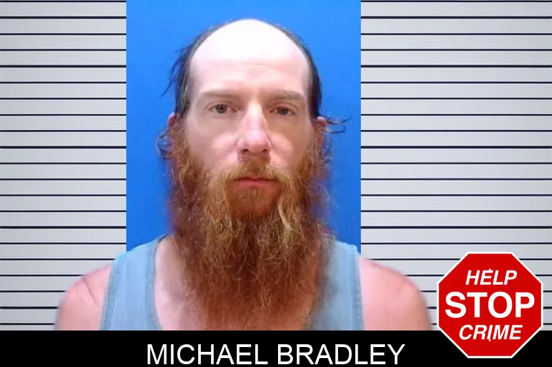 Michael Bradley mugshot