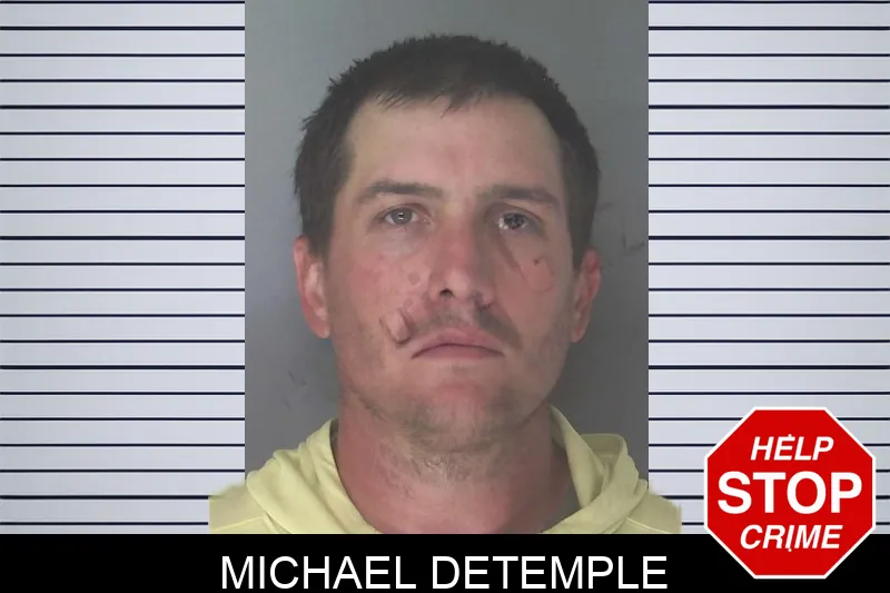 Michael Detemple mugshot