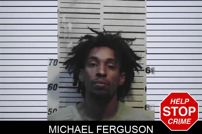 Michael Ferguson mugshot