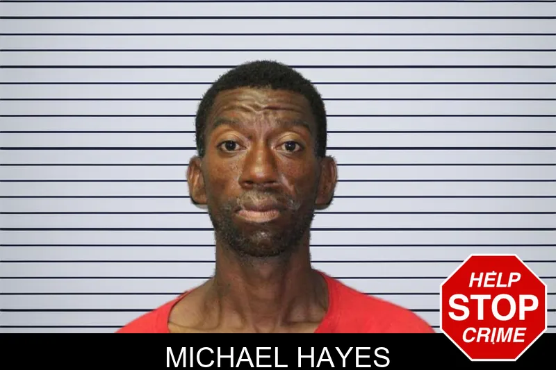 Michael Hayes mugshot