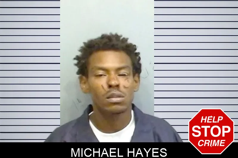 Michael Hayes mugshot – Fulton County , Georgia Michael Hayes mugshot