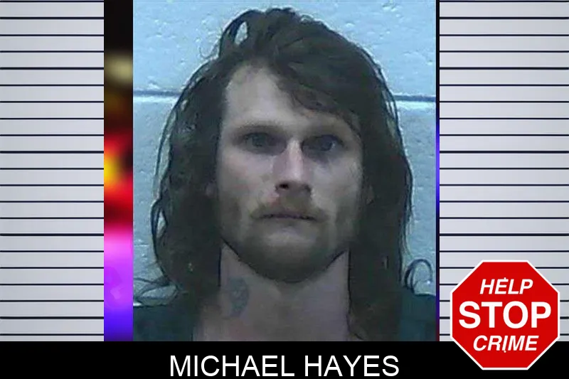 Michael Hayes mugshot
