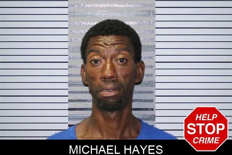 Michael Hayes mugshot