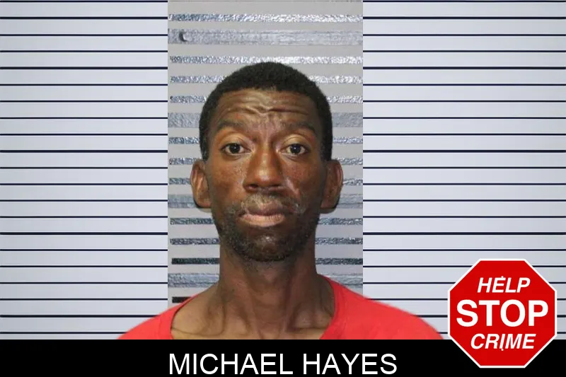 Michael Hayes mugshot – Thomas County , Georgia Michael Hayes mugshot