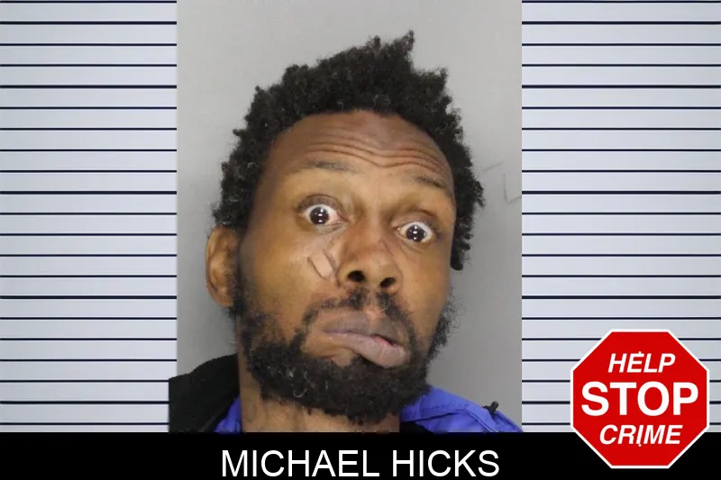 Michael Hicks mugshot