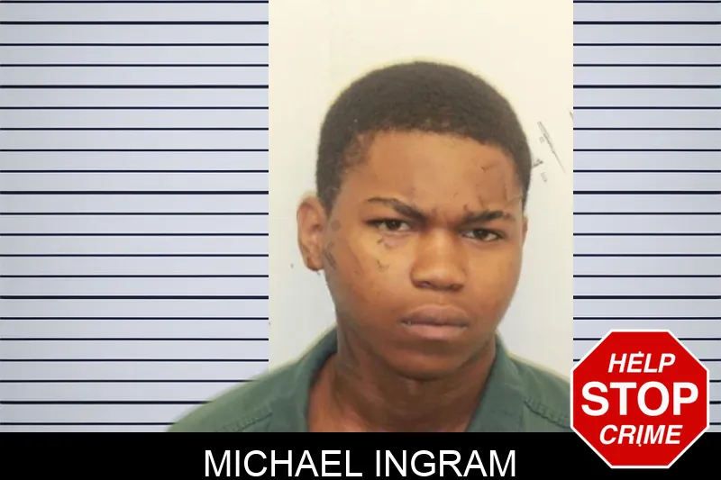 Michael Ingram mugshot