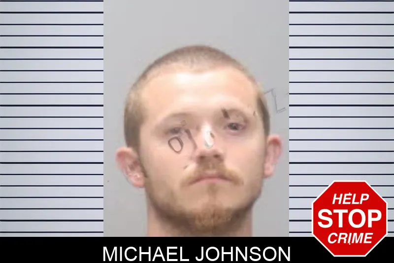 Michael Johnson mugshot