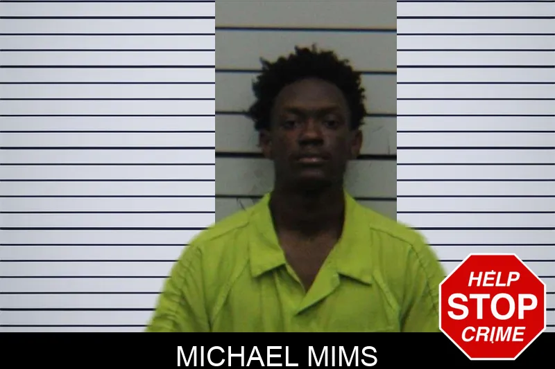 Michael Mims mugshot