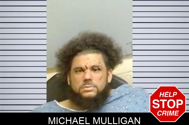 Michael Mulligan mugshot