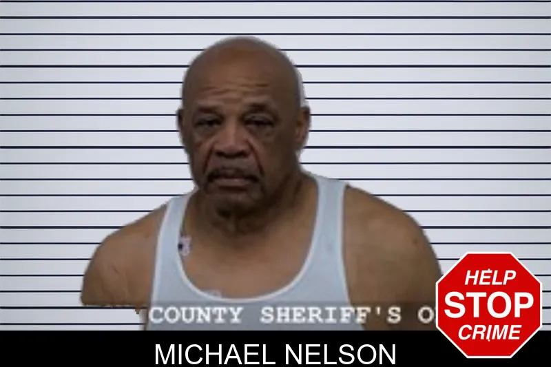 Michael Nelson mugshot