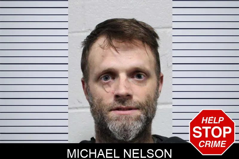 Michael Nelson mugshot