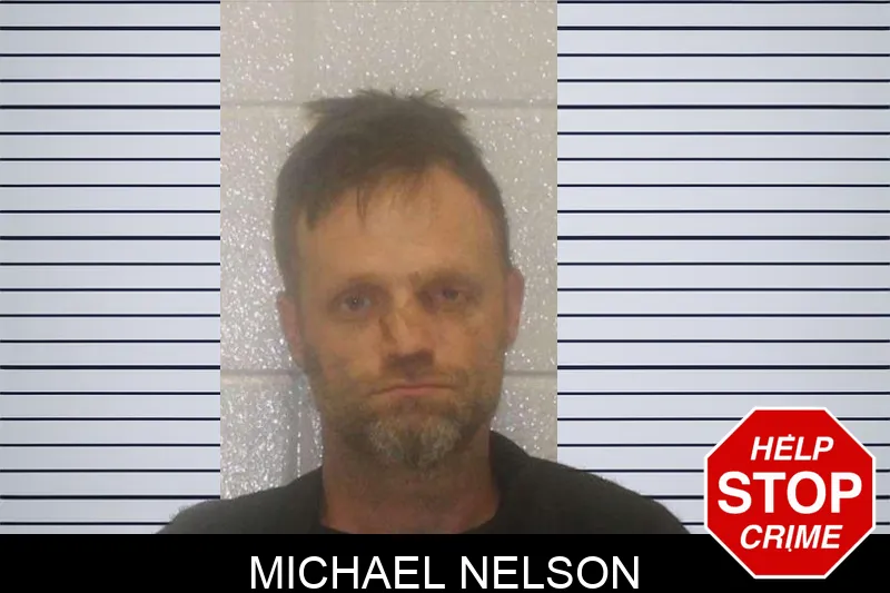 Michael Nelson mugshot