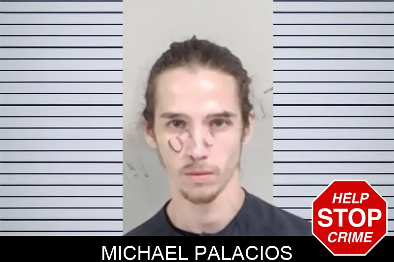 Michael Palacios mugshot