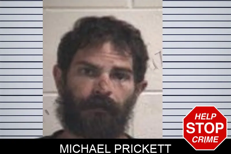 Michael Prickett mugshot – Henry County , Georgia Michael Prickett mugshot
