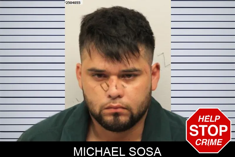 Michael Sosa mugshot