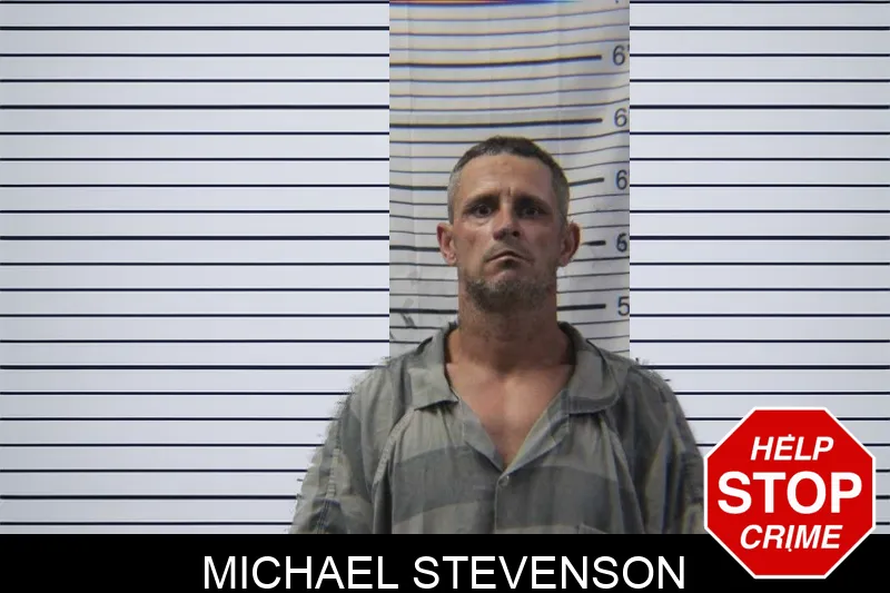 Michael Stevenson mugshot