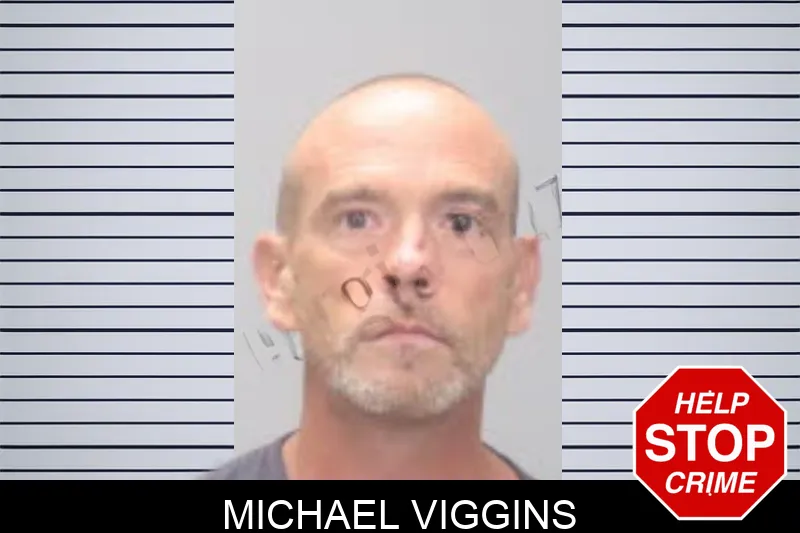 Michael Viggins mugshot