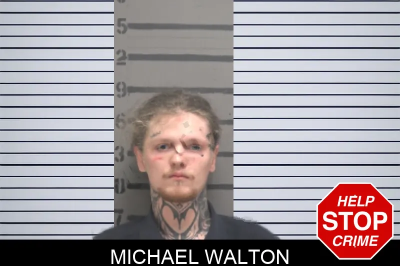 Michael Walton mugshot