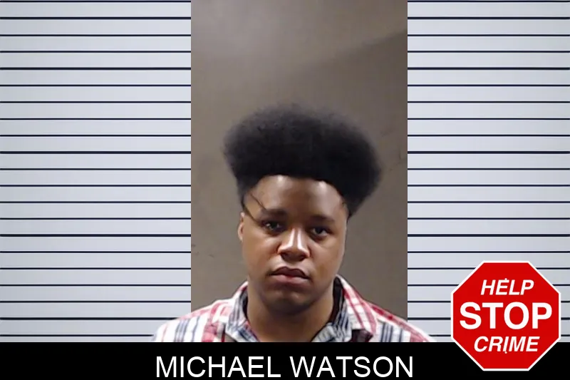 Michael Watson mugshot