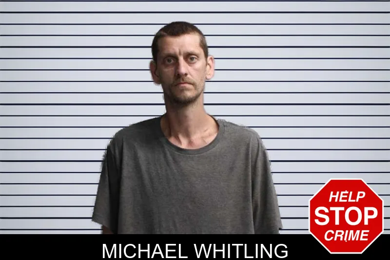 Michael Whitling mugshot