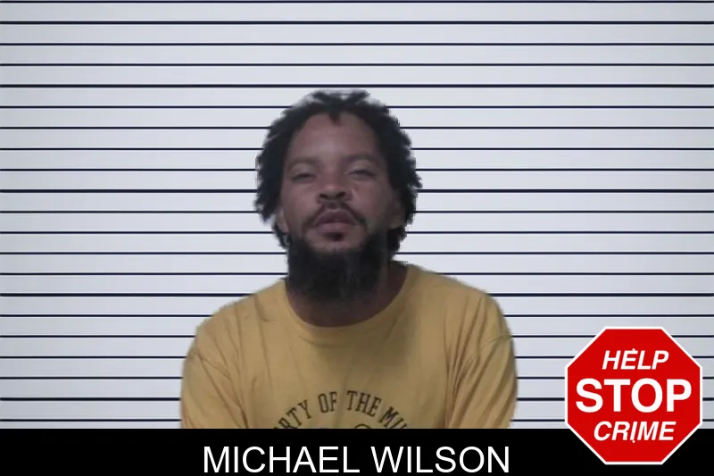 Michael Wilson mugshot