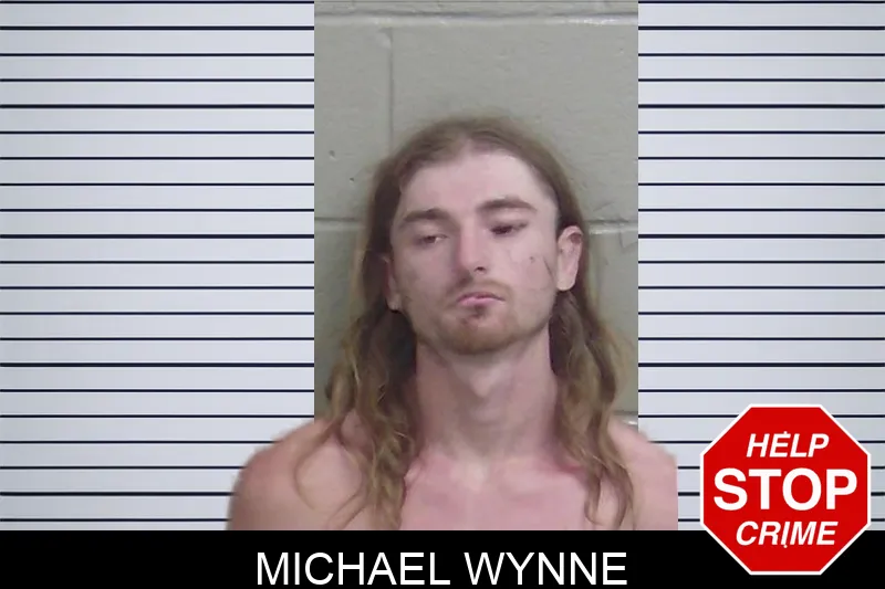 Michael Wynne mugshot