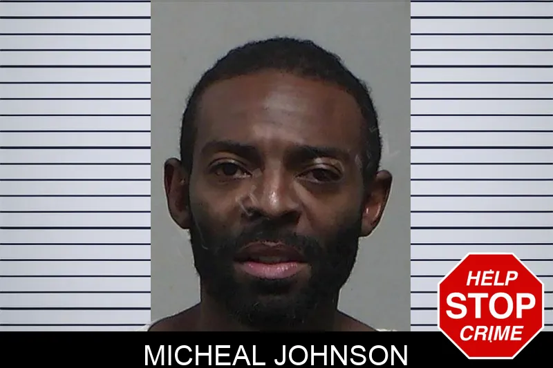 Micheal Johnson mugshot