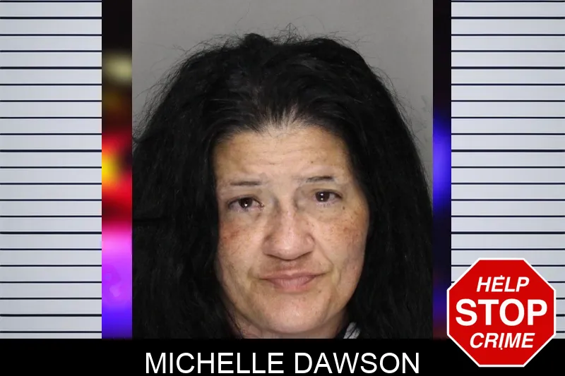 Michelle Dawson mugshot – Cobb County , Georgia Michelle Dawson mugshot