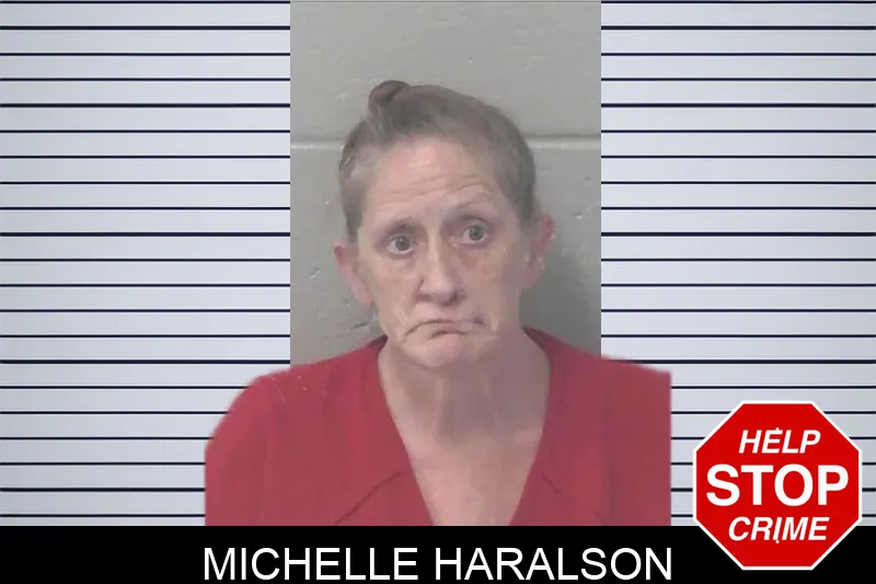 Michelle Haralson mugshot