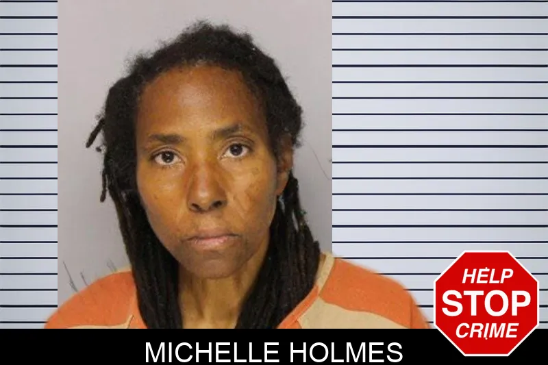 Michelle Holmes mugshot – Hall County , Georgia Michelle Holmes mugshot