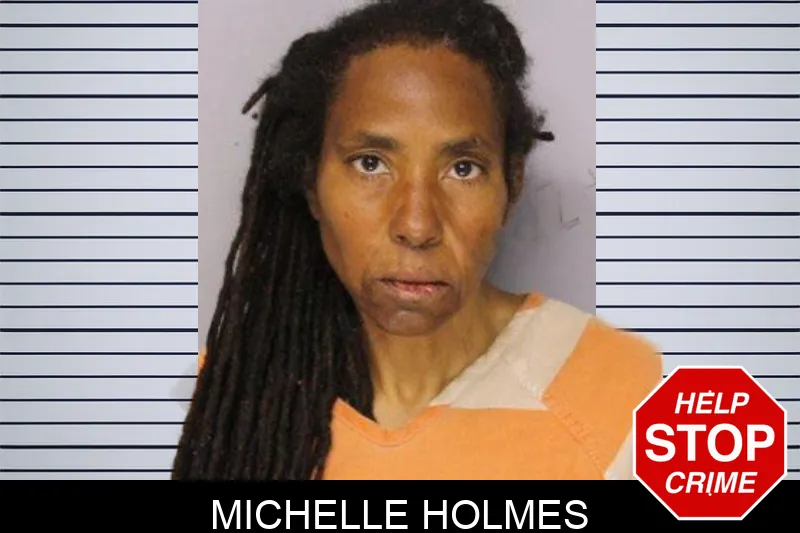 Michelle Holmes mugshot – Hall County , Georgia Michelle Holmes mugshot