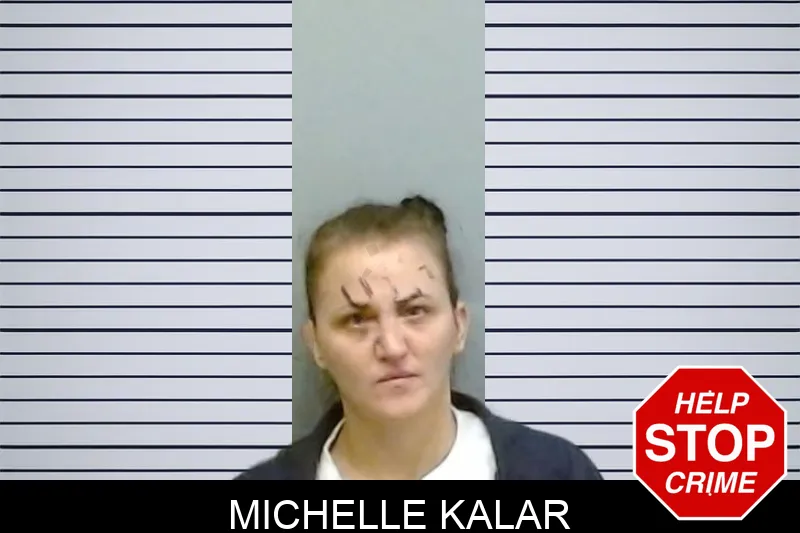 Michelle Kalar mugshot – Fulton County , Georgia Michelle Kalar mugshot