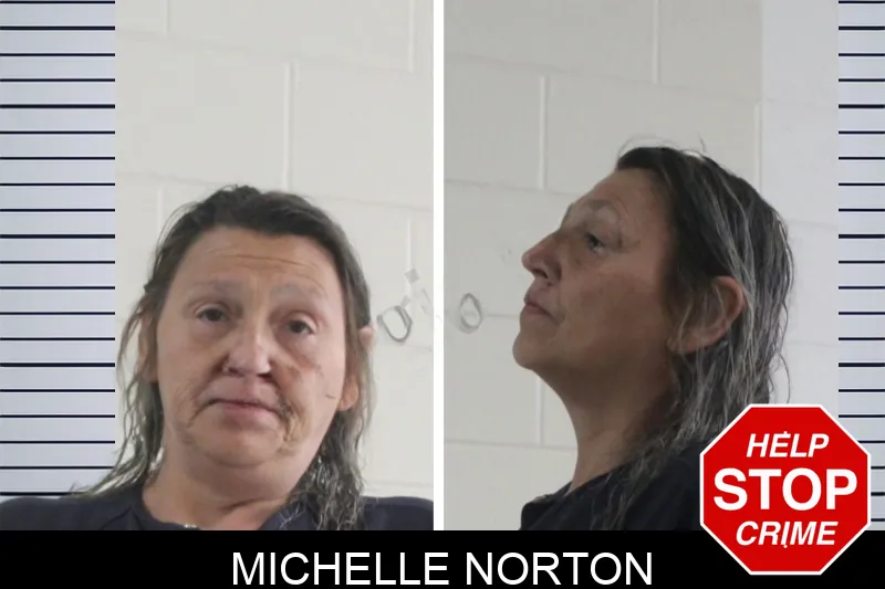 Michelle Norton mugshot
