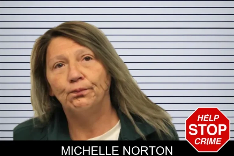 Michelle Norton mugshot – Chatham County , Georgia Michelle Norton