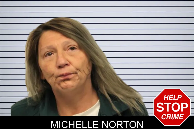 Michelle Norton mugshot – Chatham County , Georgia Michelle Norton mugshot
