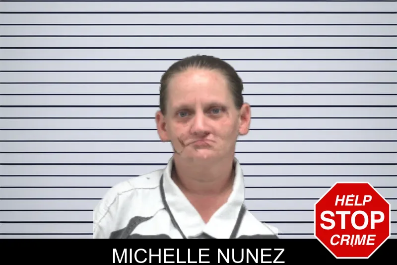 Michelle Nunez mugshot