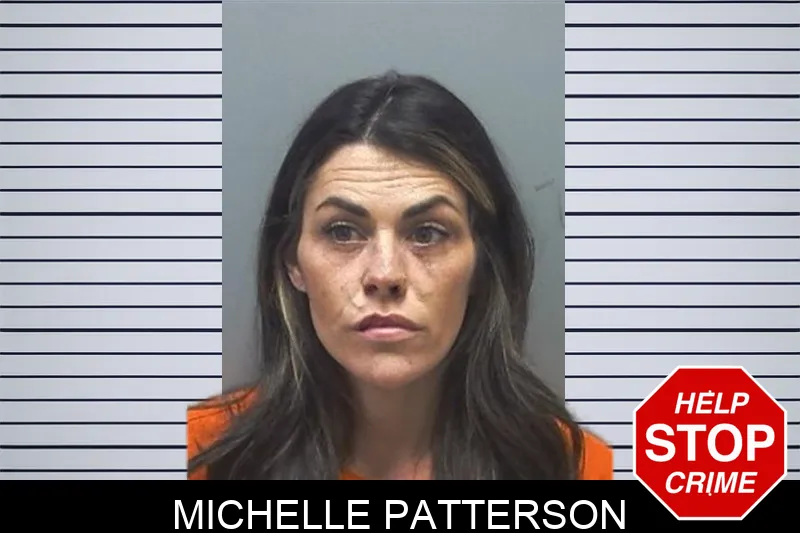Michelle Patterson mugshot