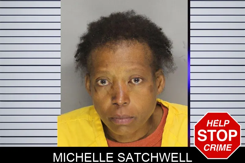 Michelle Satchwell mugshot