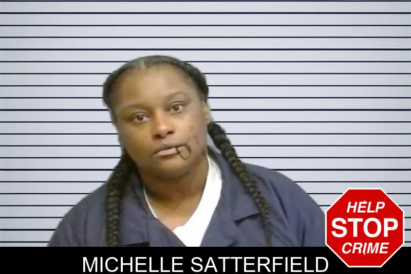 Michelle Satterfield mugshot