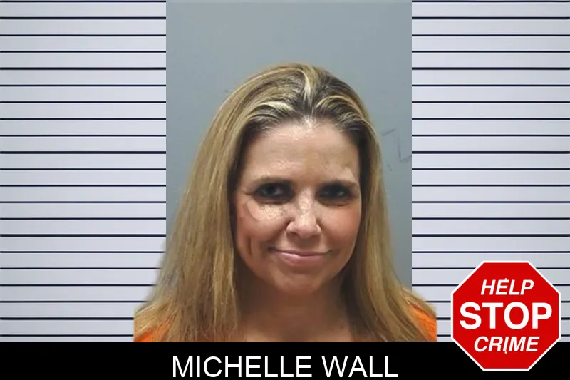 Michelle Wall mugshot