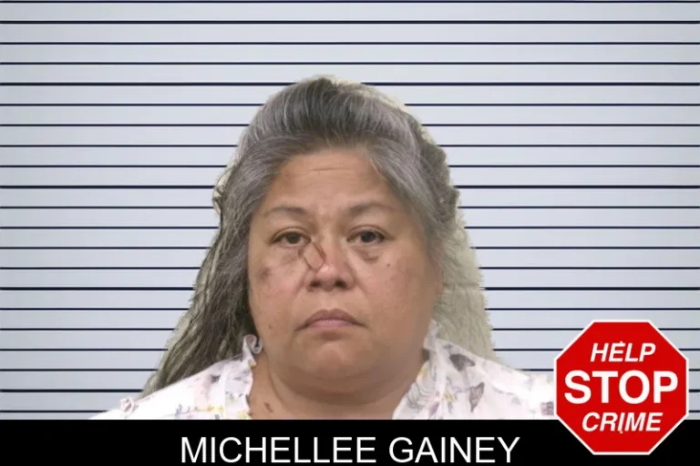 Michellee Gainey mugshot – Bulloch County , Georgia Michellee Gainey