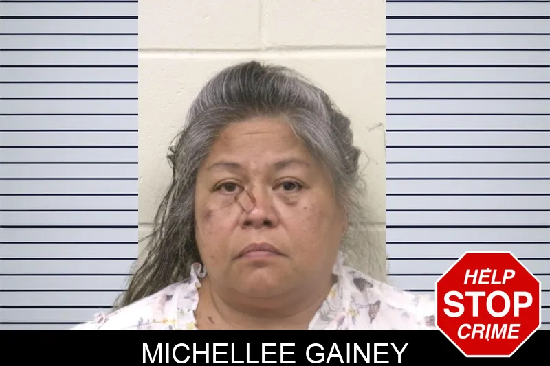 Michellee Gainey mugshot – Bulloch County , Georgia Michellee Gainey mugshot