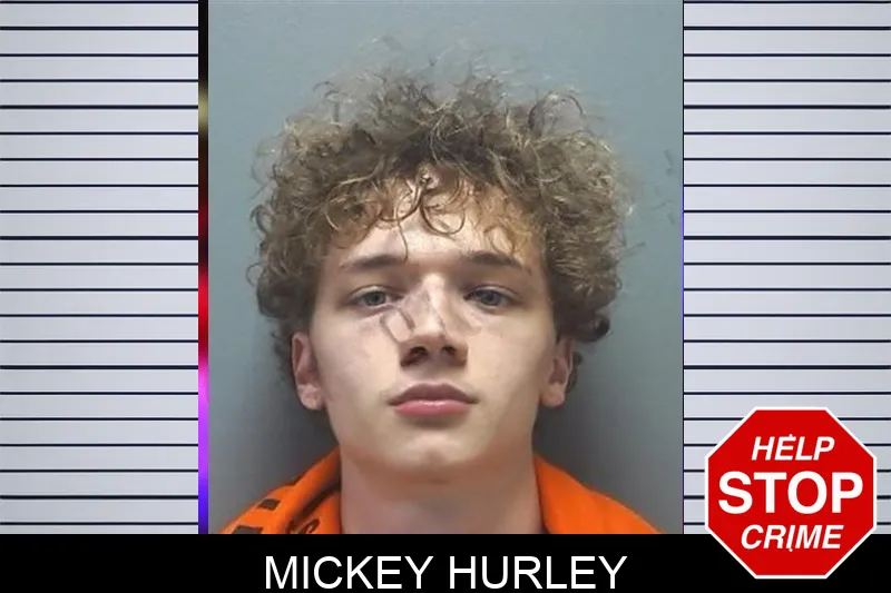 Mickey Hurley mugshot – Cherokee County , Georgia Mickey Hurley mugshot