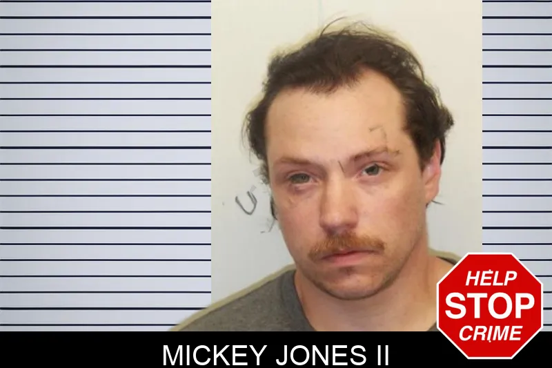 Mickey Jones II mugshot