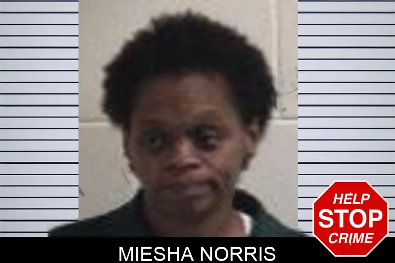 Miesha Norris mugshot